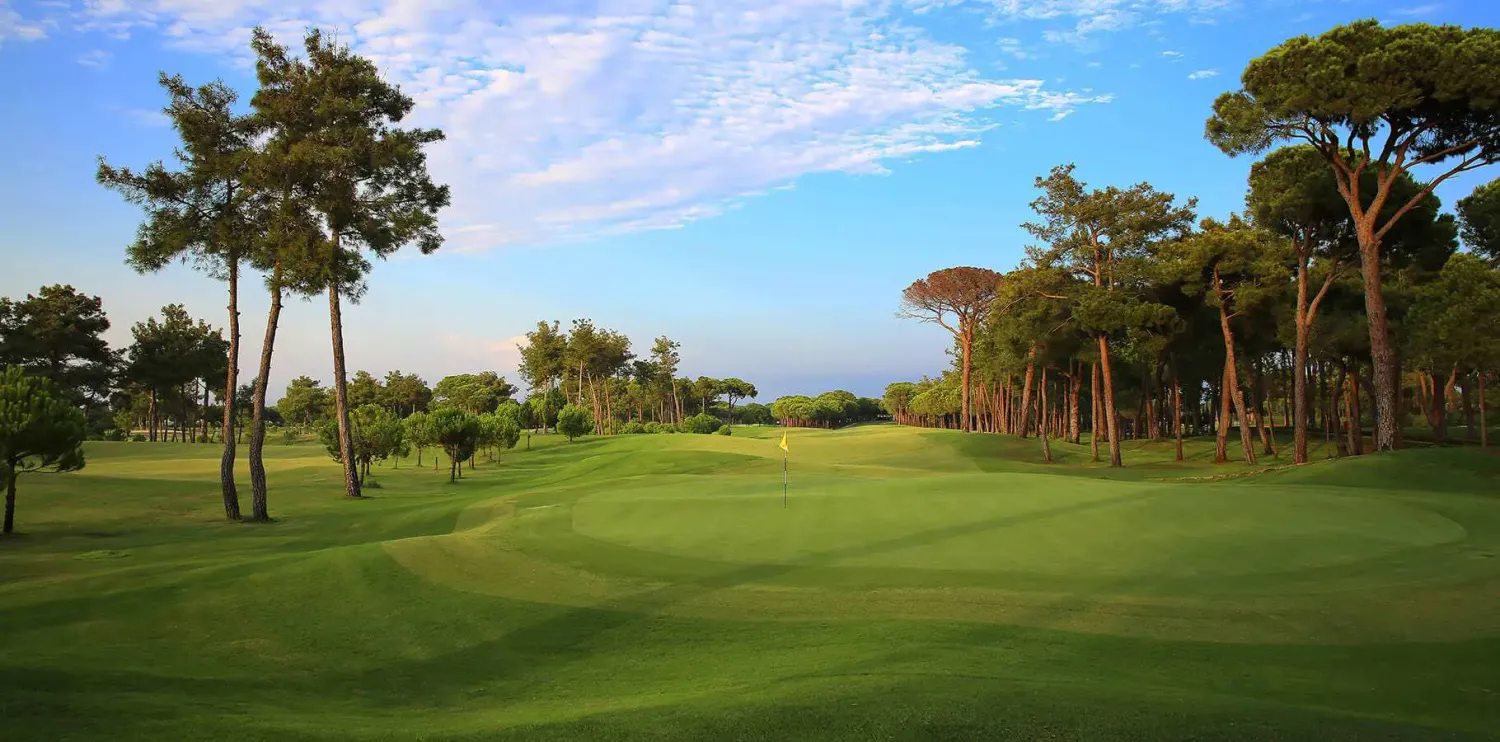 Gloria New Course · Gloria New Course